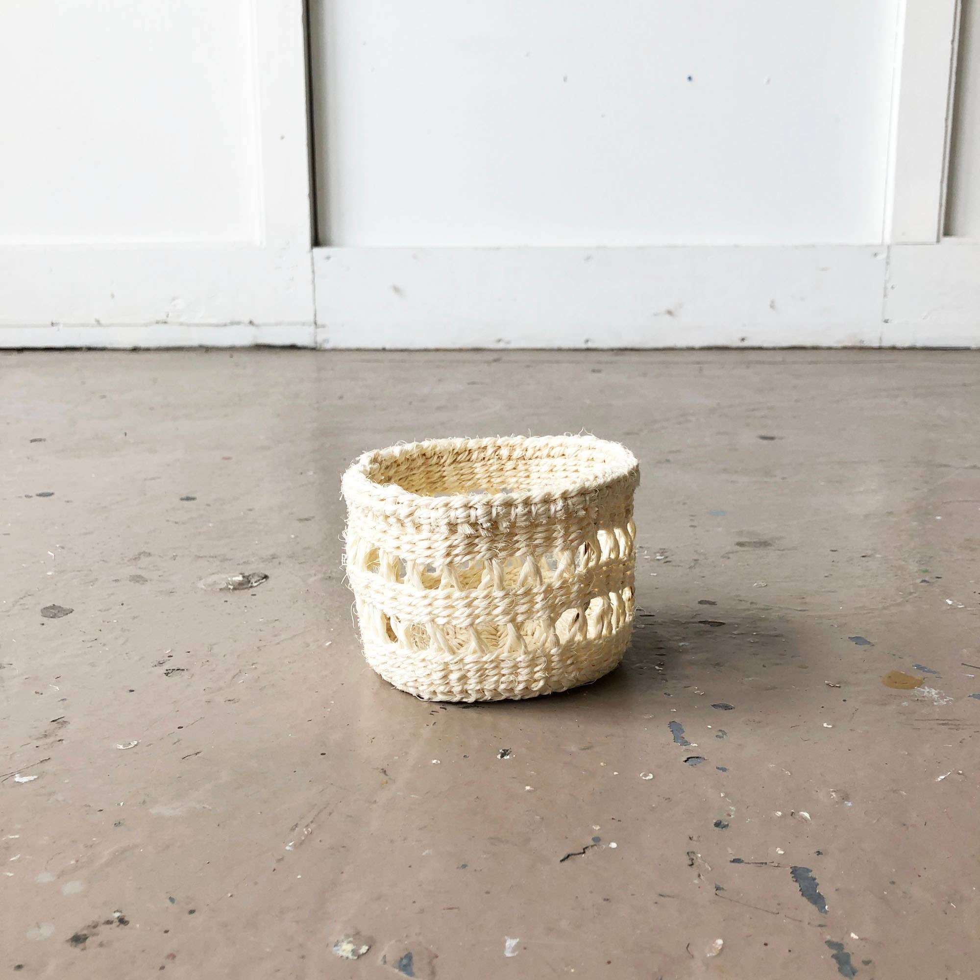 Mini Orchid in Woven Basket