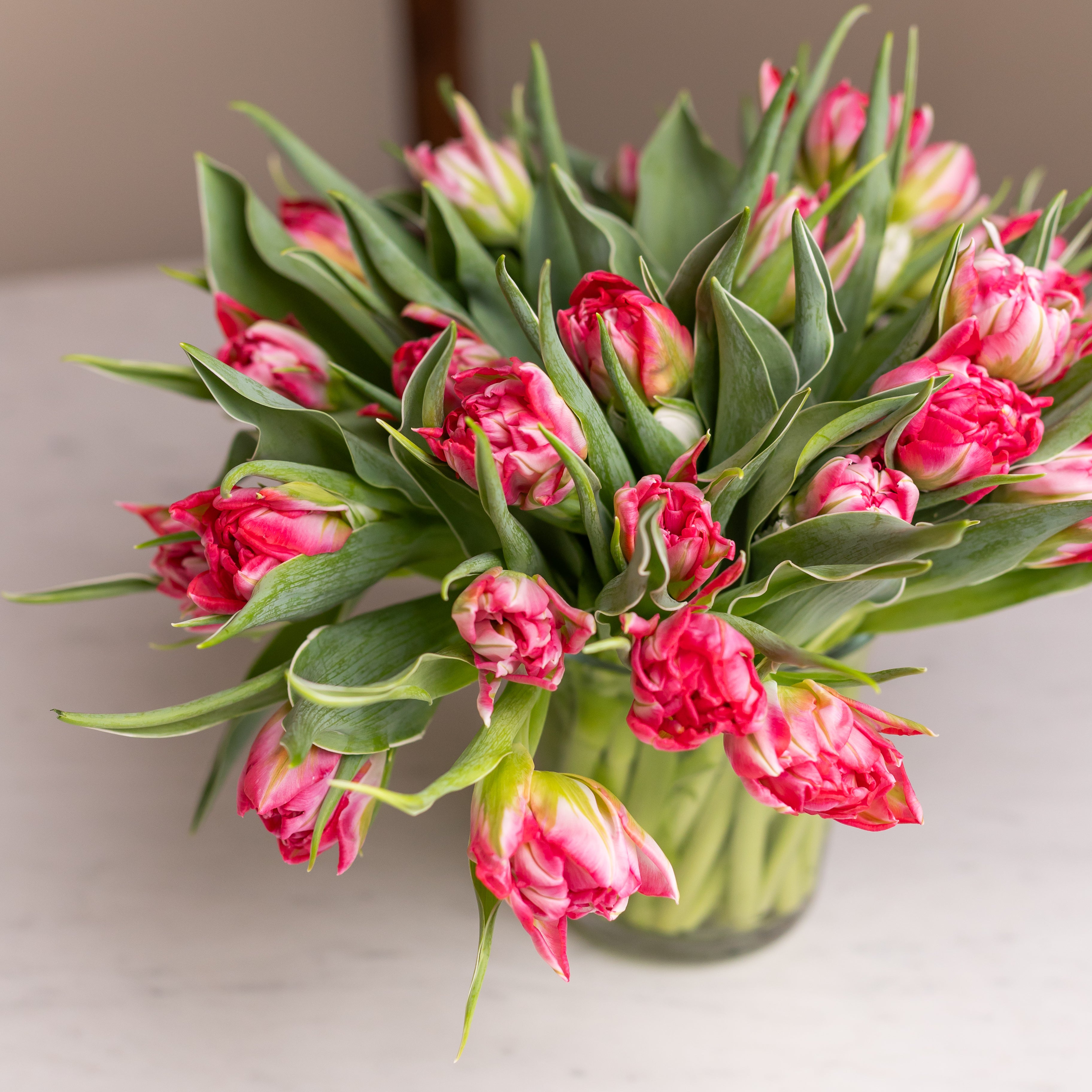 Double Tulips in Glass Vase